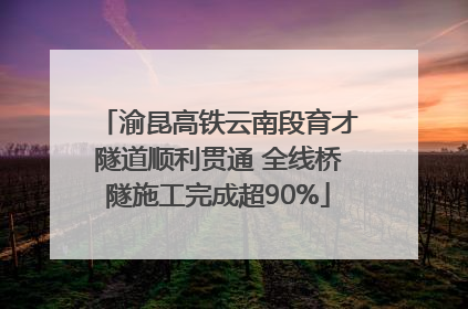 渝昆高铁云南段育才隧道顺利贯通 全线桥隧施工完成超90%
