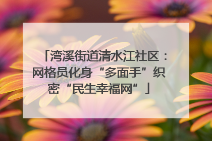 湾溪街道清水江社区：网格员化身“多面手”织密“民生幸福网”
