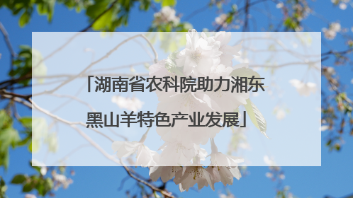 湖南省农科院助力湘东黑山羊特色产业发展