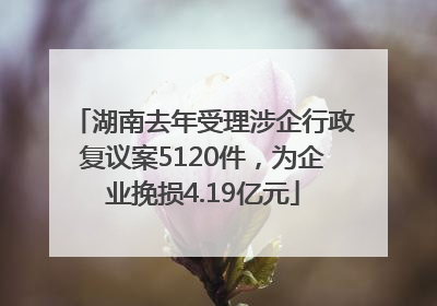 湖南去年受理涉企行政复议案5120件，为企业挽损4.19亿元