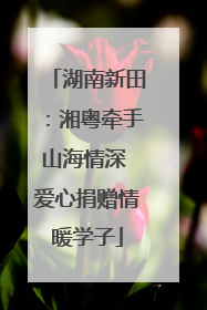 湖南新田：湘粤牵手山海情深 爱心捐赠情暖学子