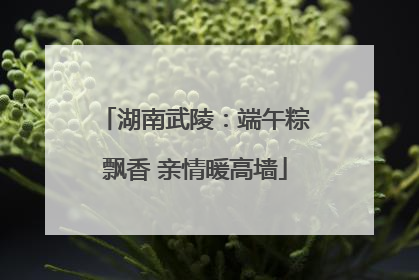 湖南武陵：端午粽飘香 亲情暖高墙