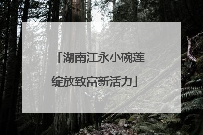 湖南江永小碗莲绽放致富新活力