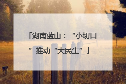湖南蓝山：“小切口”推动“大民生”