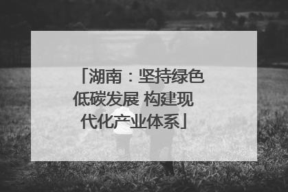 湖南：坚持绿色低碳发展 构建现代化产业体系