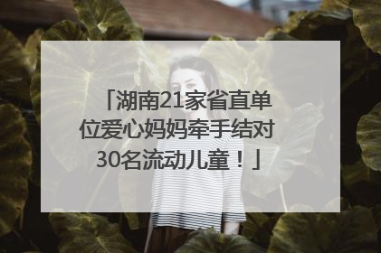 湖南21家省直单位爱心妈妈牵手结对30名流动儿童！