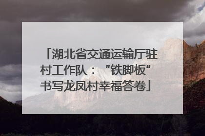 湖北省交通运输厅驻村工作队：“铁脚板”书写龙凤村幸福答卷