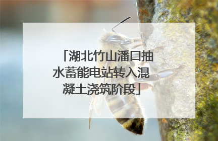 湖北竹山潘口抽水蓄能电站转入混凝土浇筑阶段
