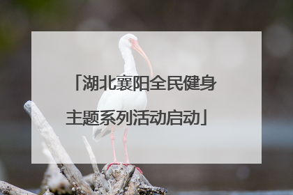 湖北襄阳全民健身主题系列活动启动