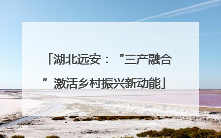 湖北远安：“三产融合”激活乡村振兴新动能