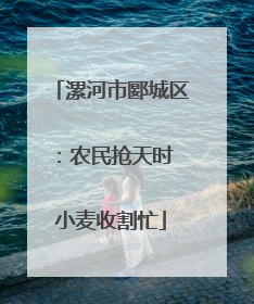 漯河市郾城区：农民抢天时 小麦收割忙