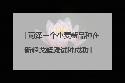 菏泽三个小麦新品种在新疆戈壁滩试种成功