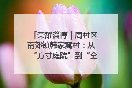 荣耀淄博｜周村区南郊镇韩家窝村：从“方寸庭院”到“全域文明”，乡村振兴的“美学革命”