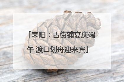 耒阳：古街铺宴庆端午 渡口划舟迎来宾