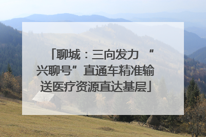 聊城：三向发力 “兴聊号”直通车精准输送医疗资源直达基层