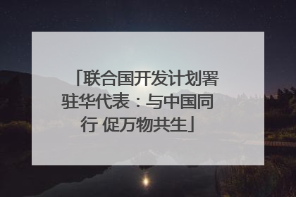 联合国开发计划署驻华代表：与中国同行 促万物共生