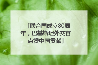 联合国成立80周年，巴基斯坦外交官点赞中国贡献