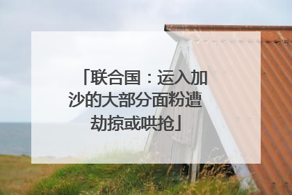 联合国：运入加沙的大部分面粉遭劫掠或哄抢