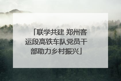 联学共建 郑州客运段高铁车队党员干部助力乡村振兴