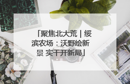 聚焦北大荒｜绥滨农场：沃野绘新景 实干开新局