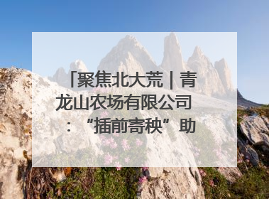 聚焦北大荒｜青龙山农场有限公司：“插前寄秧”助力农业节本增效