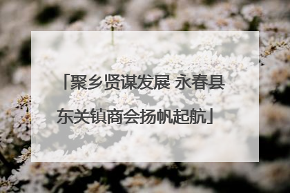 聚乡贤谋发展 永春县东关镇商会扬帆起航