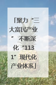 聚力“三大富民产业” 不断深化“1131”现代化产业体系