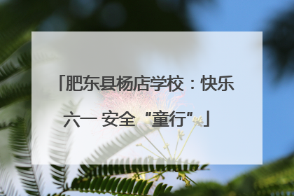 肥东县杨店学校：快乐六一 安全“童行”