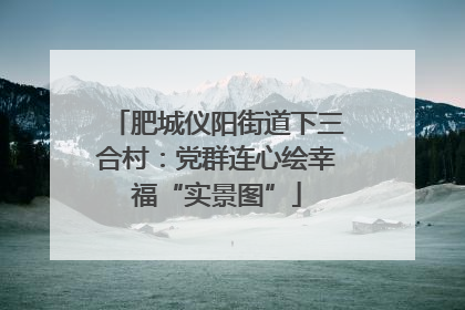 肥城仪阳街道下三合村：党群连心绘幸福“实景图”