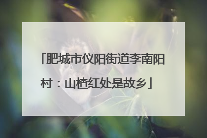 肥城市仪阳街道李南阳村：山楂红处是故乡