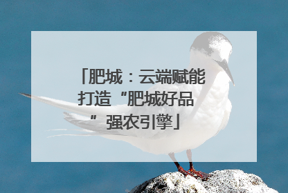 肥城：云端赋能 打造“肥城好品”强农引擎