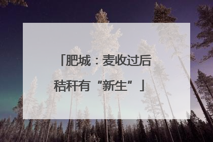 肥城：麦收过后秸秆有“新生”