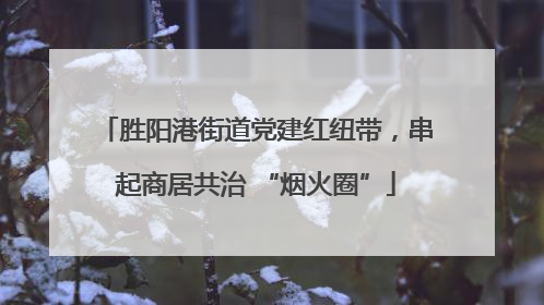 胜阳港街道党建红纽带，串起商居共治 “烟火圈”