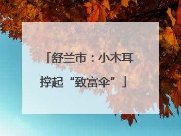 舒兰市：小木耳撑起“致富伞”