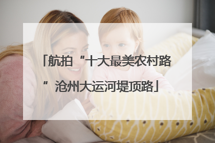 航拍“十大最美农村路”沧州大运河堤顶路