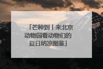 芒种到丨来北京动物园看动物们的夏日纳凉图鉴