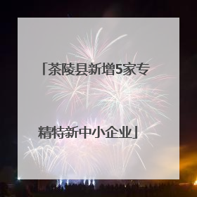 茶陵县新增5家专精特新中小企业
