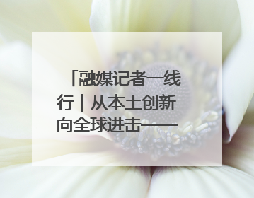 融媒记者一线行｜从本土创新向全球进击——我市生物医药产业破茧突围