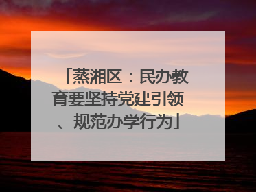 蒸湘区：民办教育要坚持党建引领、规范办学行为