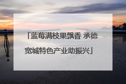 蓝莓满枝果飘香 承德宽城特色产业助振兴