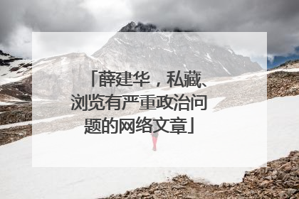 薛建华，私藏、浏览有严重政治问题的网络文章