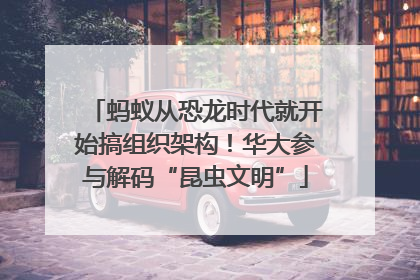 蚂蚁从恐龙时代就开始搞组织架构！华大参与解码“昆虫文明”