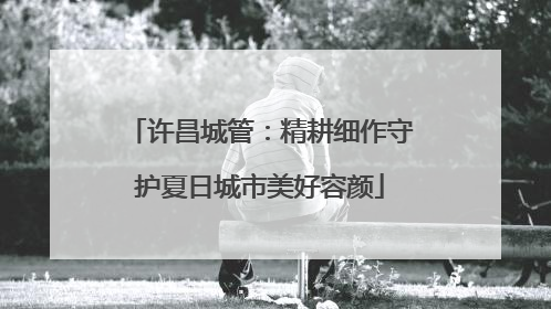 许昌城管：精耕细作守护夏日城市美好容颜
