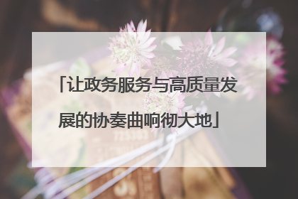 让政务服务与高质量发展的协奏曲响彻大地