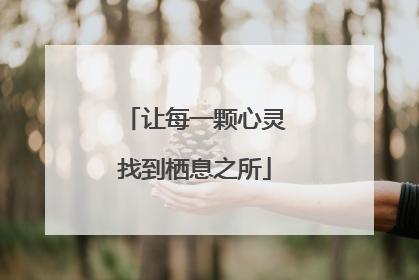 让每一颗心灵找到栖息之所