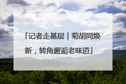 记者走基层｜菊胡同焕新，转角邂逅老味道
