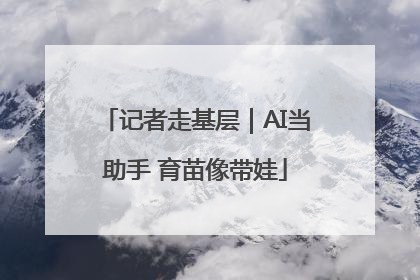 记者走基层｜AI当助手 育苗像带娃