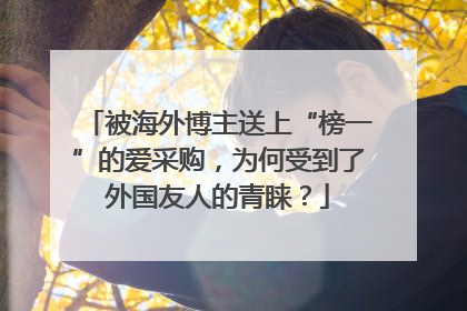 被海外博主送上“榜一”的爱采购，为何受到了外国友人的青睐？