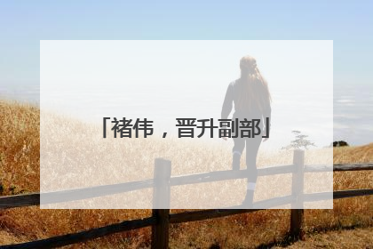 褚伟，晋升副部