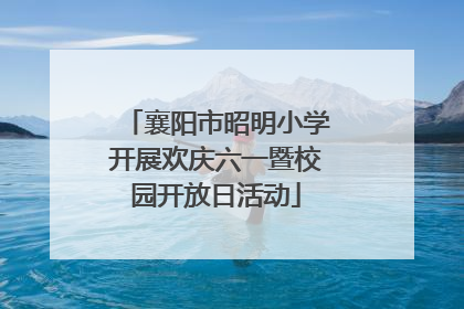 襄阳市昭明小学开展欢庆六一暨校园开放日活动